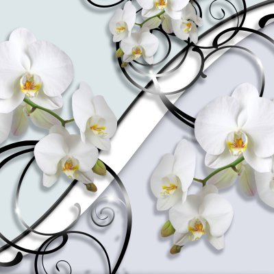 фотообои Белые цветы на сером фоне