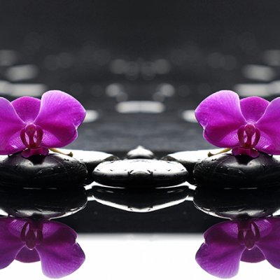 фотообои Лиловые орхидеи и камни