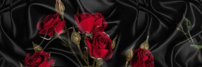 фотообои Страстные розы