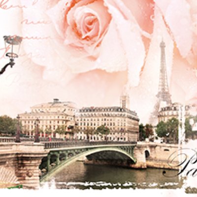 фотообои Розы Парижа