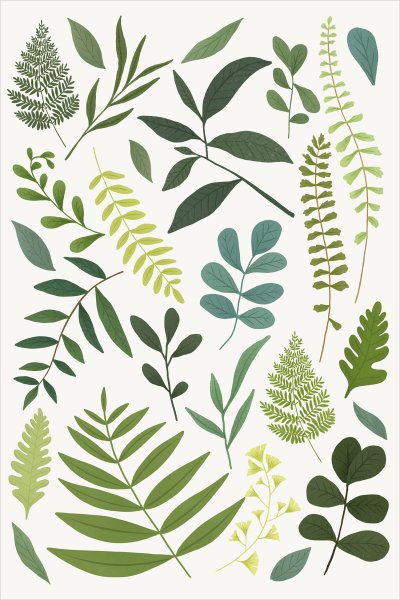 постеры Зеленые листья