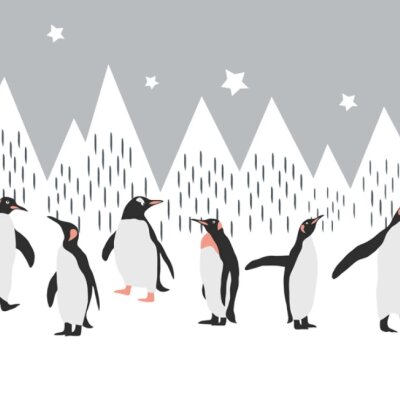 фотообои Пингвины